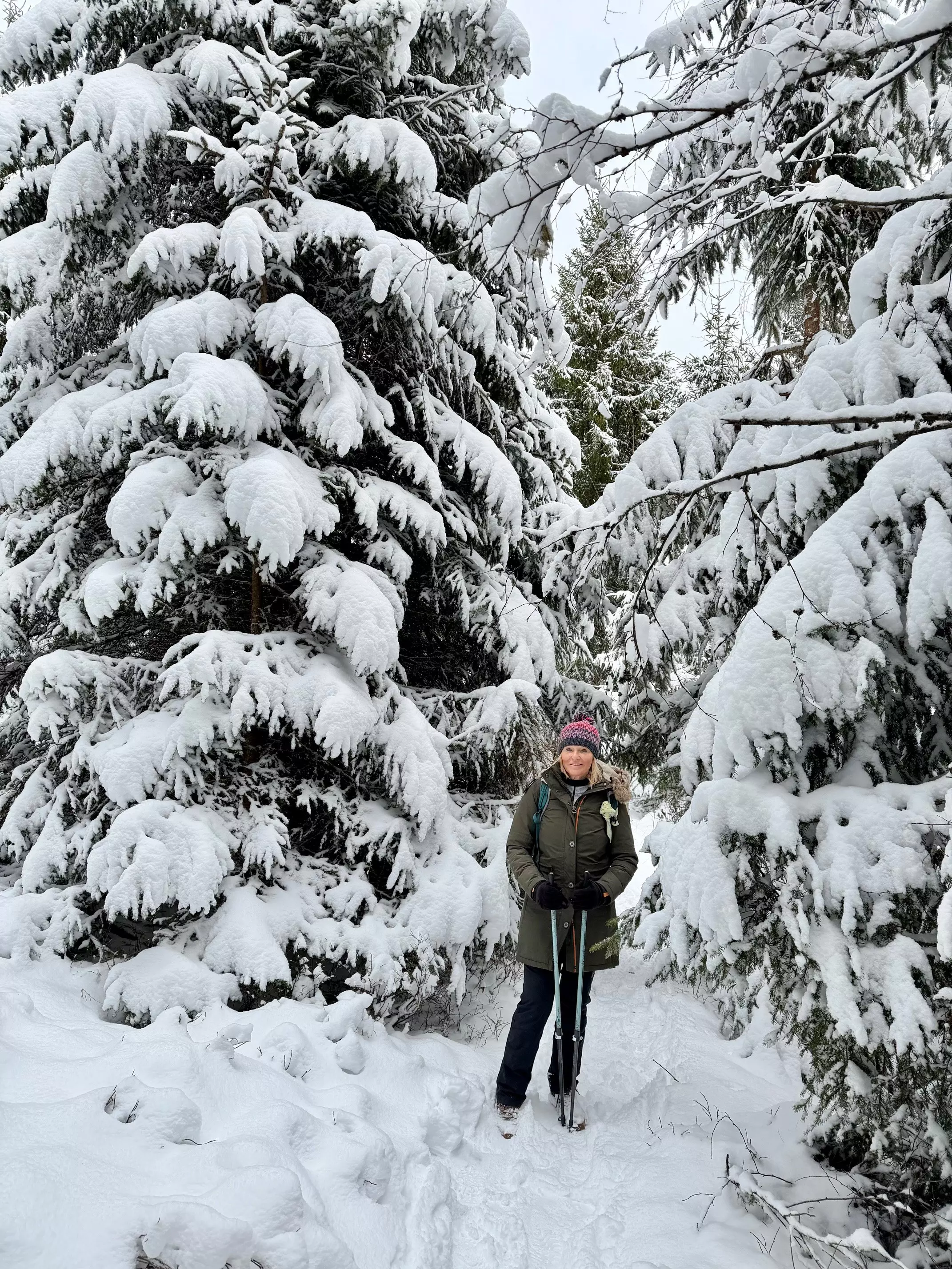 Vitalfasten Ute Hesse, Alpenblick Schwarzwald, Fasten, Wandern, Auszeit, Heilfasten im Schwarzwald, Fasten in Oberstaufen