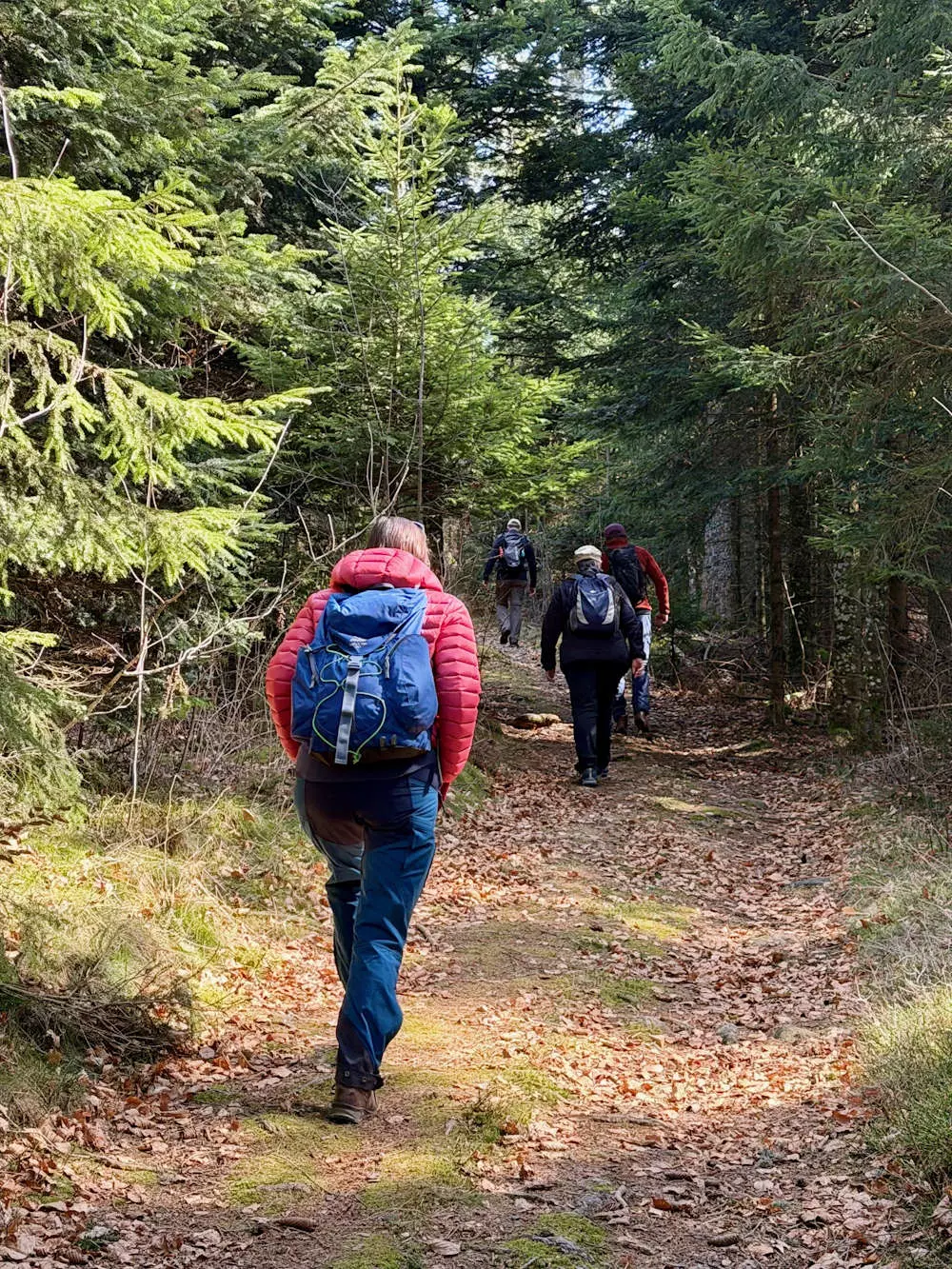 Vitalfasten Ute Hesse, Alpenblick Schwarzwald, Fasten, Wandern, Auszeit, Heilfasten im Schwarzwald, Fasten in Oberstaufen