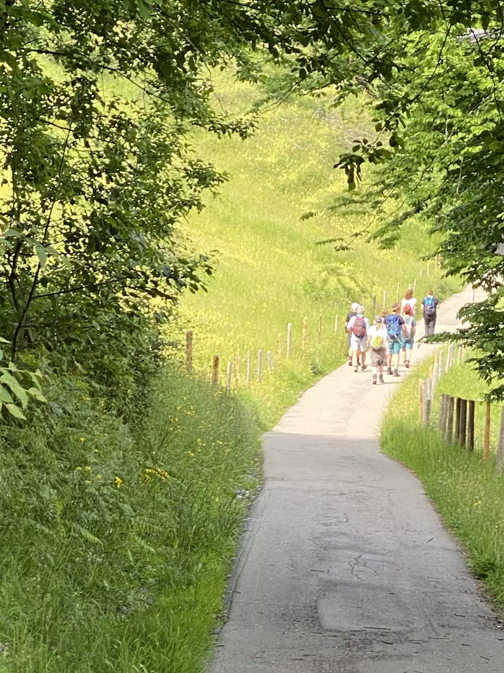 Vitalfasten, Ute Hesse, Hochbühl, Oberstaufen, Fasten nach Buchinger Vitalfasten, Ute Hesse, Hochbühl, Oberstaufen, Fasten nach Buchinger