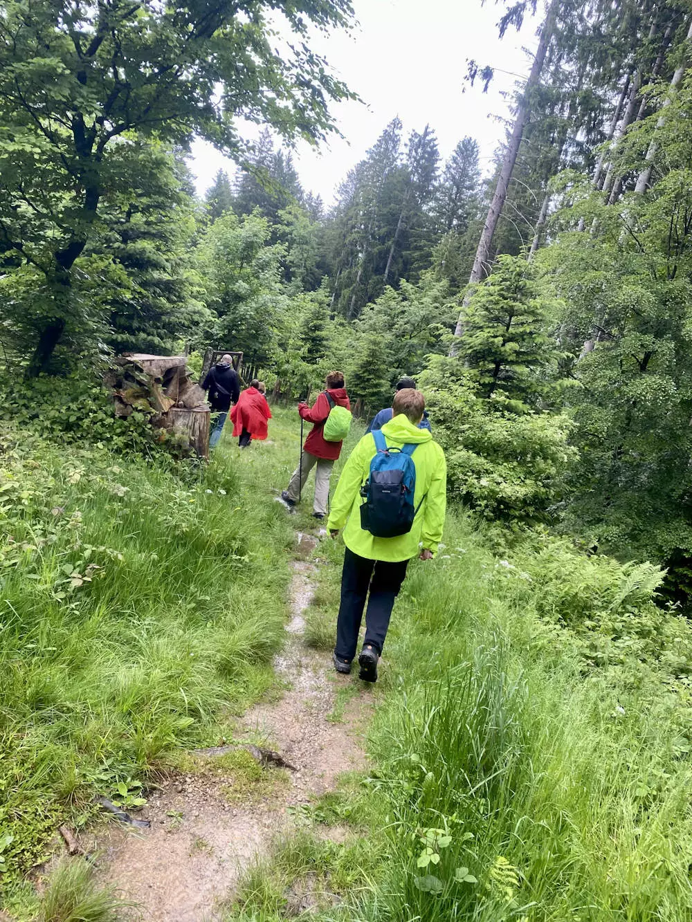 Vitalfasten, Ute Hesse, Hochbühl, Oberstaufen, Fasten nach Buchinger Vitalfasten, Ute Hesse, Hochbühl, Oberstaufen, Fasten nach Buchinger