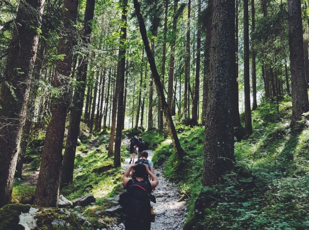 startbild-wandern